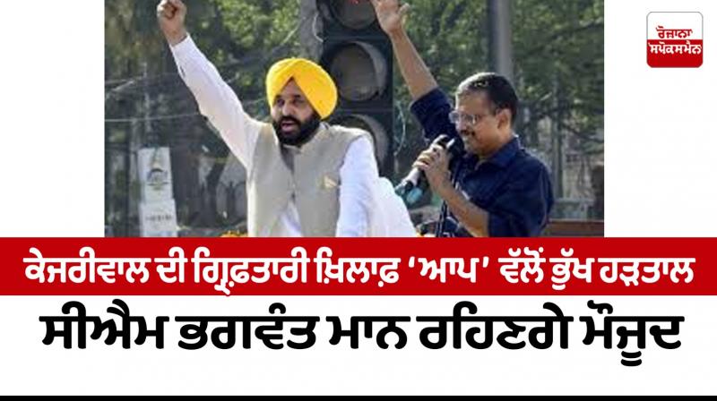  AAP Hunger strike 