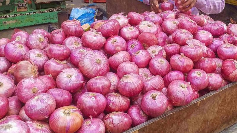 Onion import from afghanistan reduces price in india