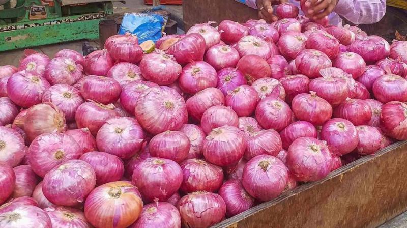 Onion import from afghanistan reduces price in india Onion import from afghanistan reduces price in india