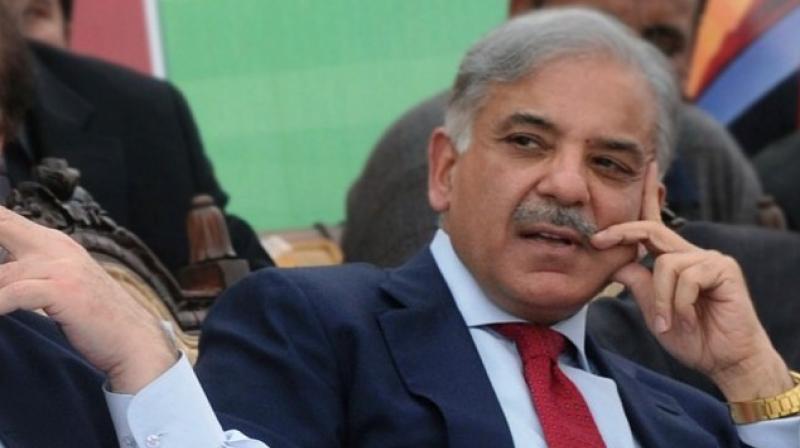 Chief shahbaz sharif 