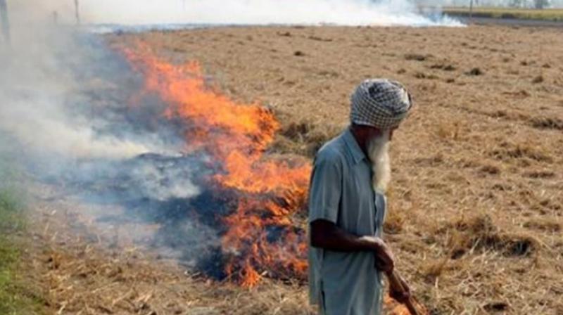 Parali Burn Parali Burn
