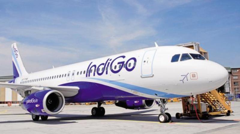 IndiGo  Airline 