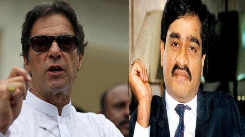 Pakistan PM and Dawood Ibrahim Pakistan PM and Dawood Ibrahim