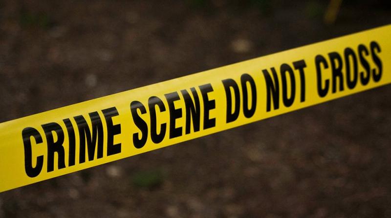 Crime Crime