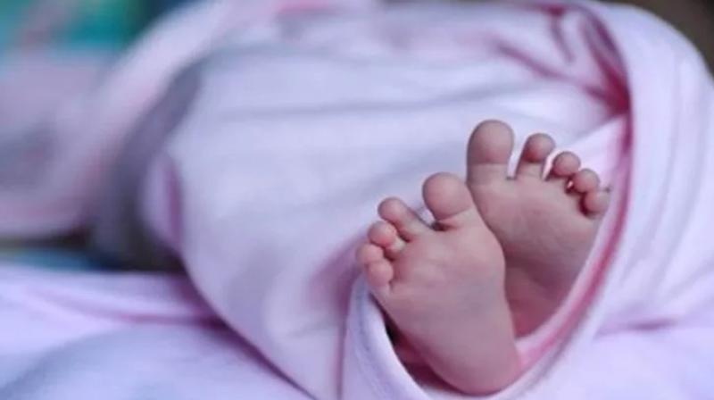Fetus found in Ludhiana private hospital Fetus found in Ludhiana private hospital