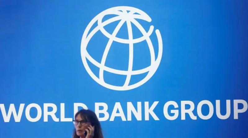  World Bank report