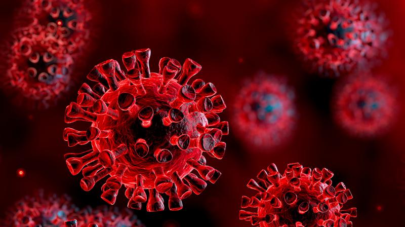 Coronavirus Coronavirus