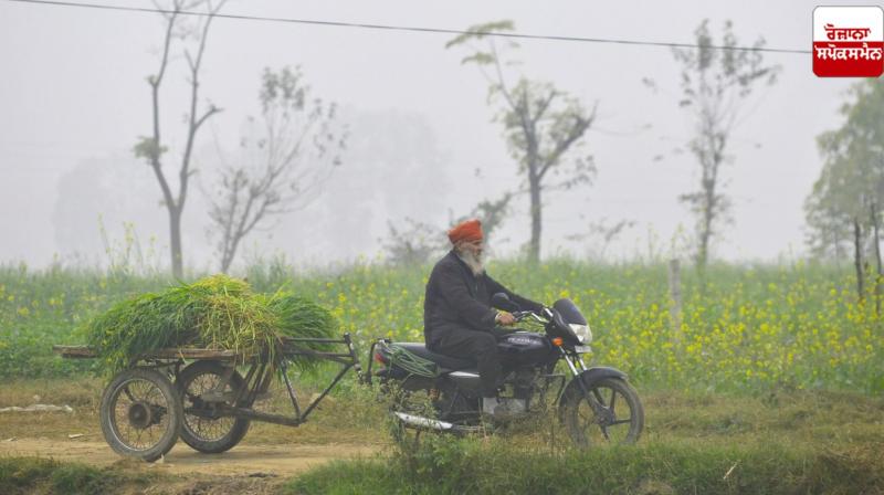 Punjab Weather Update