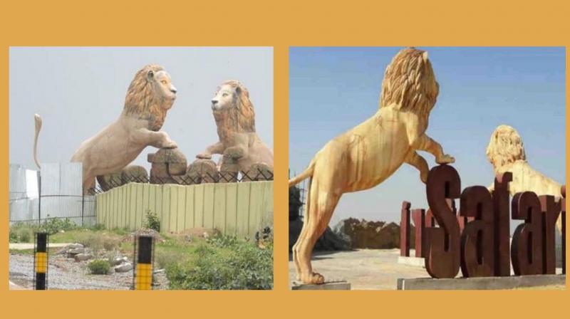Etawah lion safari to open for tourists from diwali 2019 Etawah lion safari to open for tourists from diwali 2019
