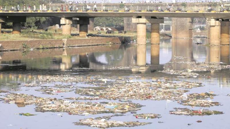 River Beas Pollution