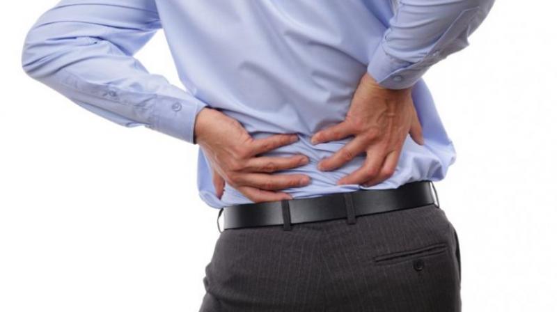 back pain back pain