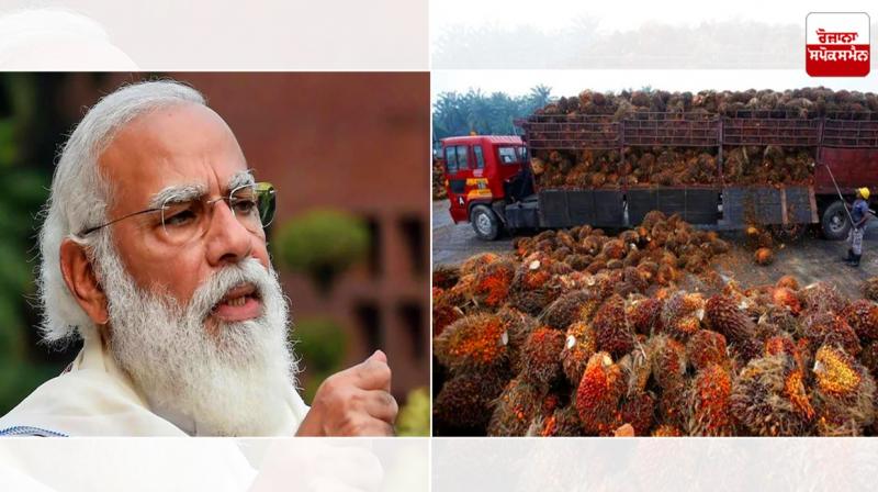 Cabinet approves Rs 11,040 cr for NMEO-OP Cabinet approves Rs 11,040 cr for NMEO-OP