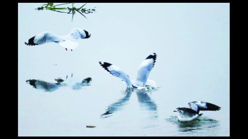 image image
