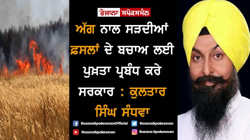 Government should not take incidents of crop fires lying down: Kultar Sandhwan Government should not take incidents of crop fires lying down: Kultar Sandhwan