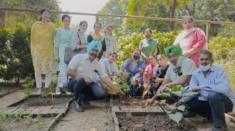 Herbal trees Planting Campaign run by SGGS College Chandigarh