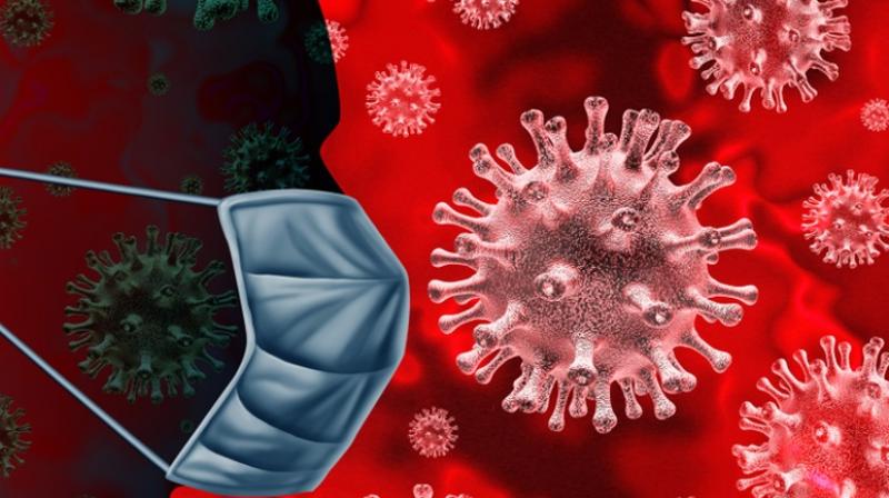 coronavirus coronavirus