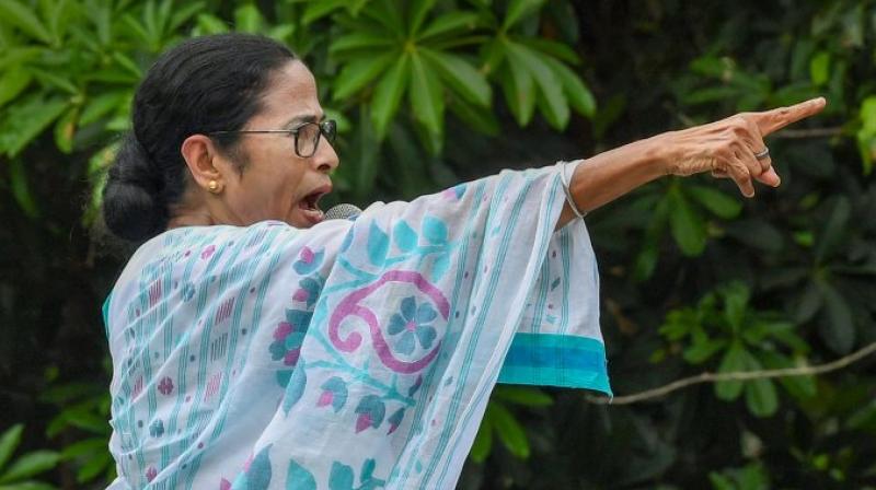 Mamata banerjee