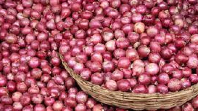 Onion Onion