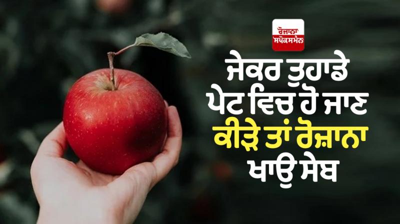 Reasons Why You Should Eat an Apple a Day Reasons Why You Should Eat an Apple a Day