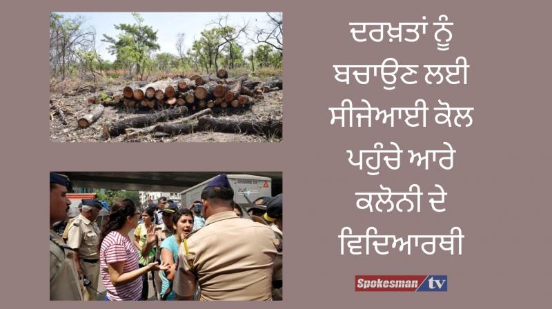 Students of aarey colony reached the cji to fight the last battle to save trees Students of aarey colony reached the cji to fight the last battle to save trees