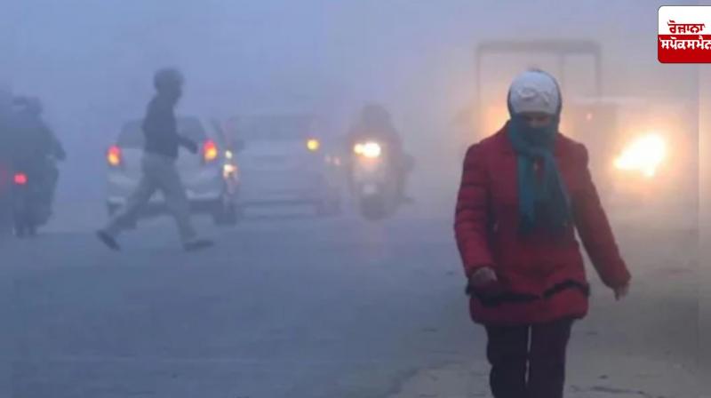Punjab Weather Update: Cold wave alert in 8 districts of Punjab