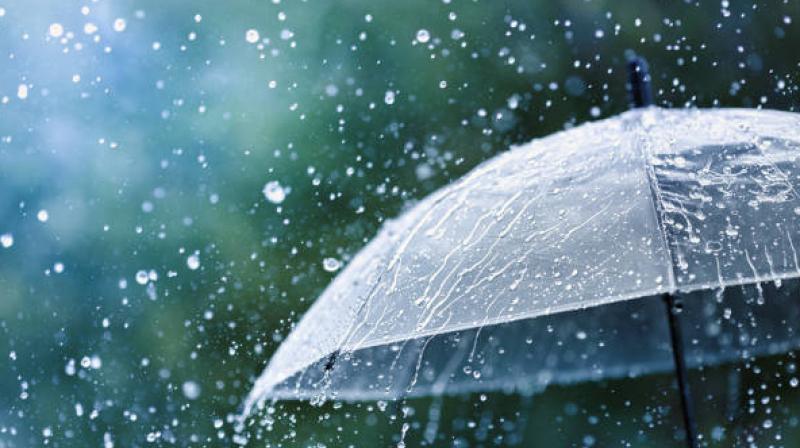 Chance of rain in Punjab in 48 to 72 hours Chance of rain in Punjab in 48 to 72 hours