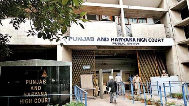 Punjab and Haryana High Court reprimanded the police for missing weapons Punjab and Haryana High Court reprimanded the police for missing weapons