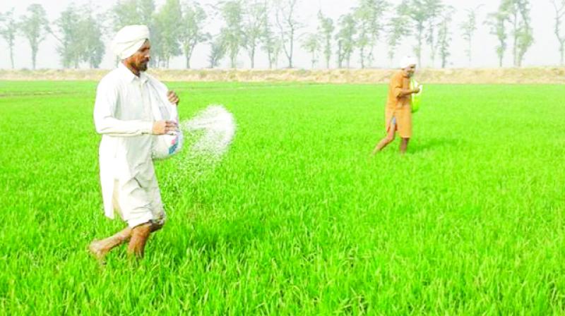 Farmers Farmers