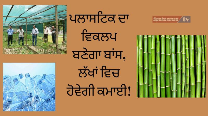 National bamboo mission business opportunity modi government