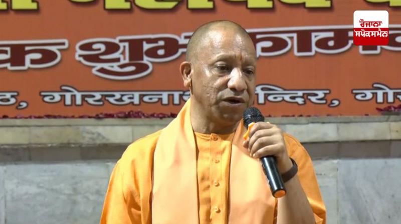 "Neither small, nor big, nor untouchable...: Yogi