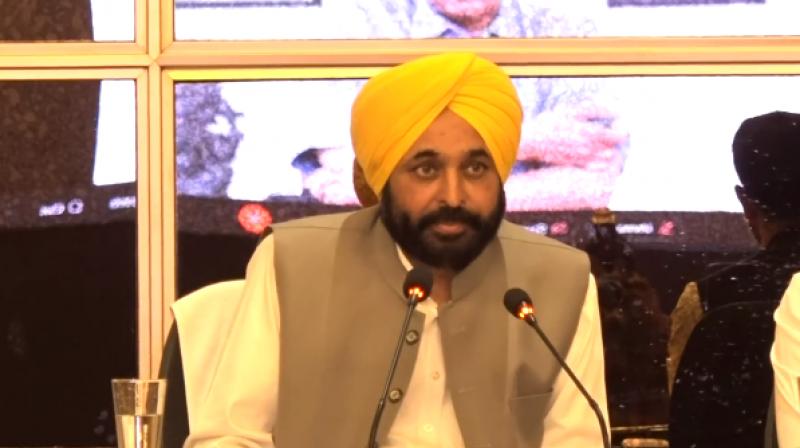Chief Minister Bhagwant Mann Chief Minister Bhagwant Mann