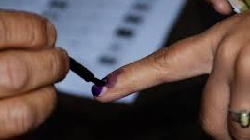 MC Election MC Election