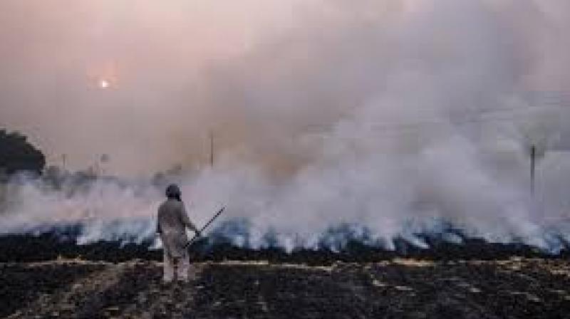  8500 nodal officers deputed at hotspot villages in Punjab to ensure zero stubble burning
