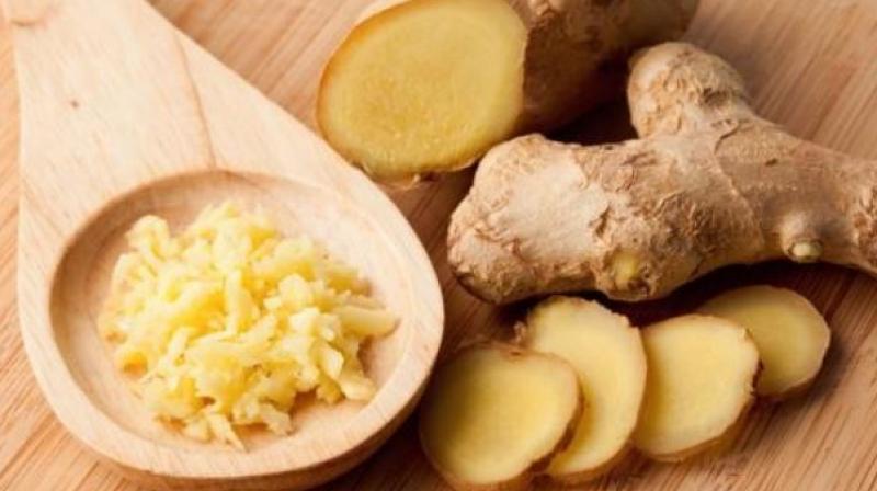 Ginger Ginger