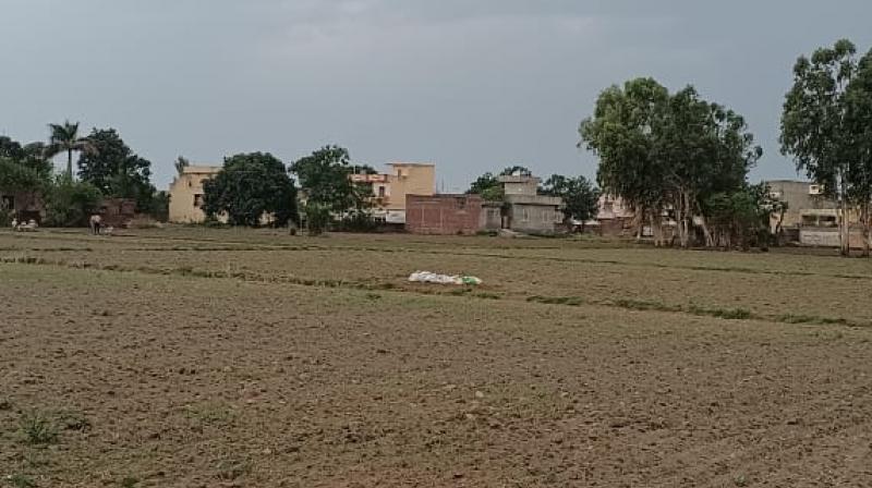 Bomb found in farmer's field Bomb found in farmer's field