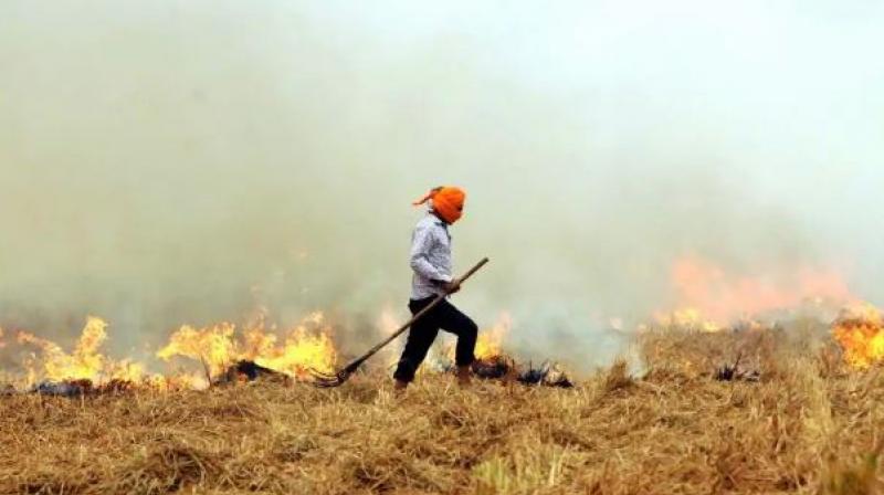 Stubble Burning Stubble Burning