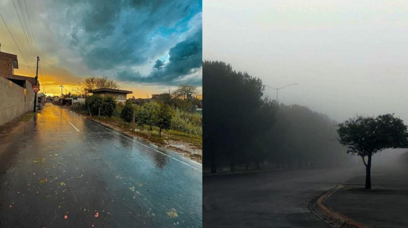 Punjab Weather Update news in punjabi Punjab Weather Update news in punjabi