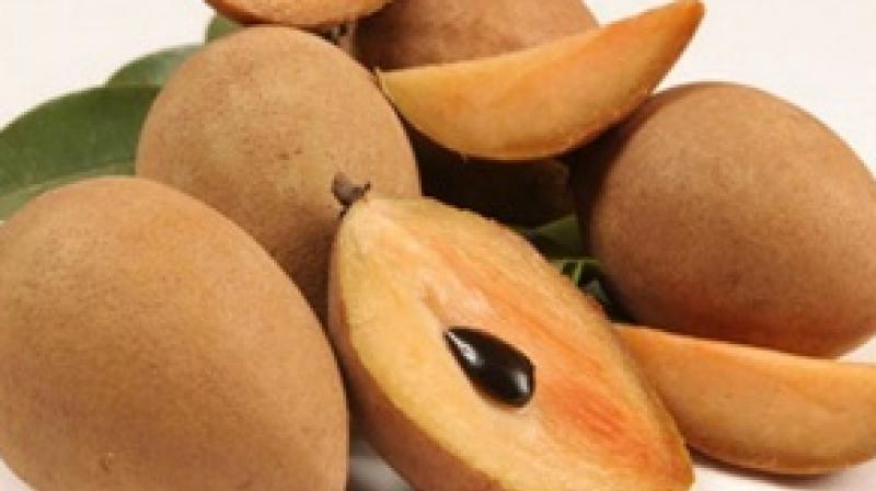 Sapota Fruit Benefits. Sapota Fruit Benefits.