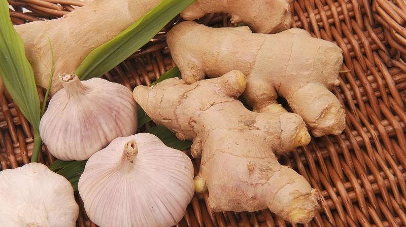 Ginger and  Garlic