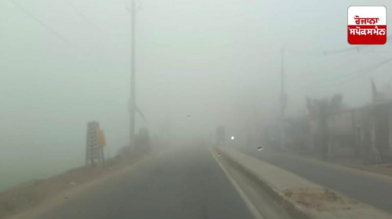 Punjab Weather Update: Dense fog and cold wave continue to wreak havoc in Punjab
