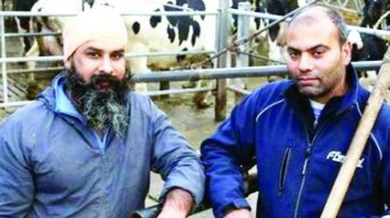 4 Sikh Men Drown In Manure Tank At Italy Dairy Farm