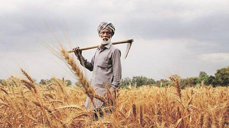 Farmers Farmers
