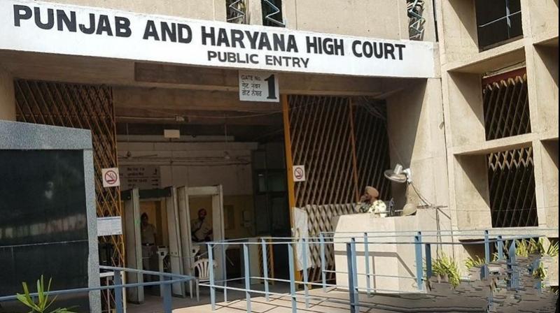 Punjab and Haryana High Court Punjab and Haryana High Court