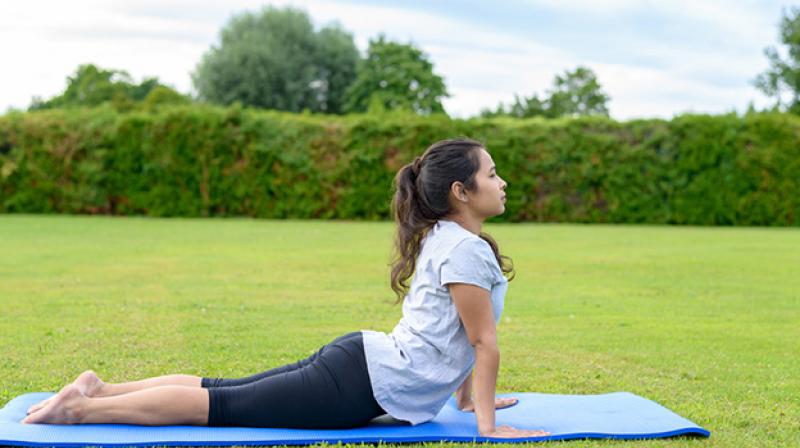 exercise exercise