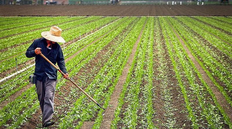 farming farming