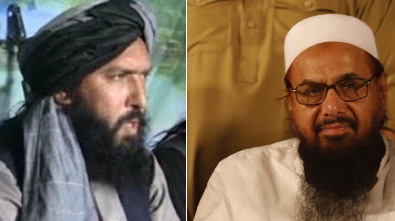 Hafiz Saeed's right hand Habibullah was killed Hafiz Saeed's right hand Habibullah was killed