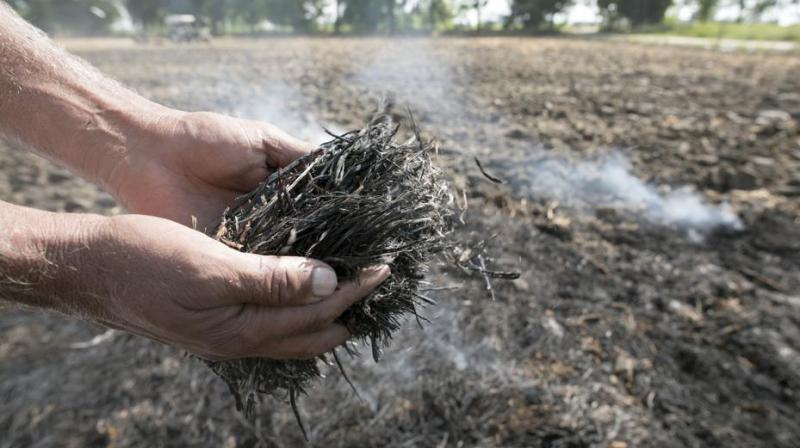 Restricting burning of crop residue Restricting burning of crop residue