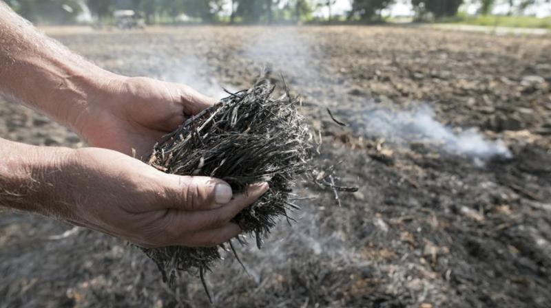 Restricting burning of crop residue