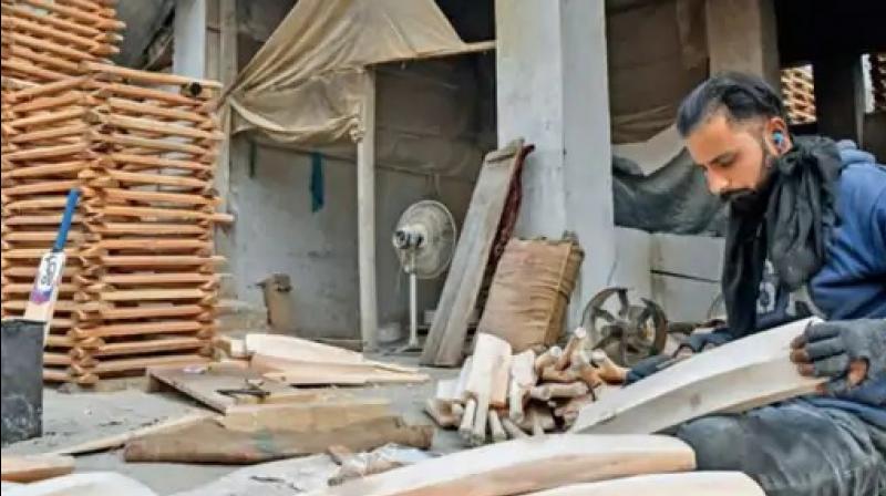 Shortage of good quality wood in Kashmir's bat industry