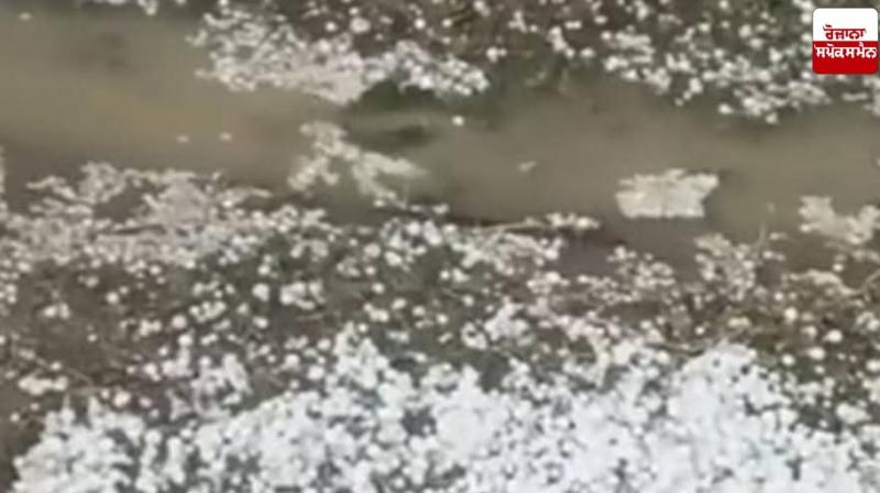  Hailstorm in Rafiabad, North Kashmir, causes major damage to apple orchards